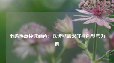 市场热点快速响应：以近期需求旺盛的型号为例