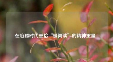 在喧嚣时代重拾“慢阅读”的精神重量  