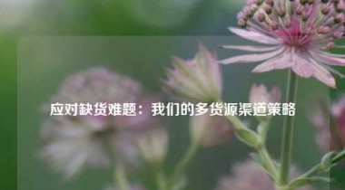 应对缺货难题：我们的多货源渠道策略