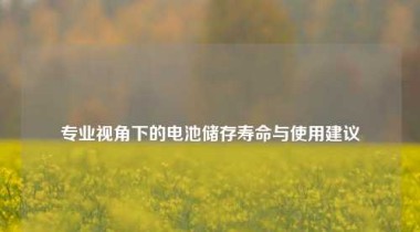 专业视角下的电池储存寿命与使用建议