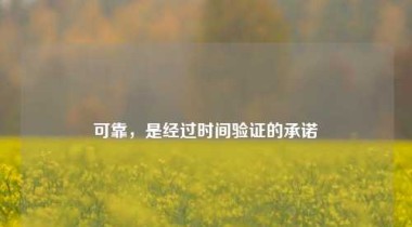 可靠，是经过时间验证的承诺