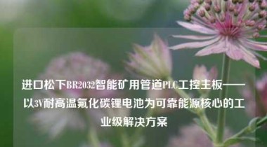 进口松下BR2032智能矿用管道PLC工控主板——以3V耐高温氟化碳锂电池为可靠能源核心的工业级解决方案