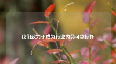 我们致力于成为行业内的可靠标杆