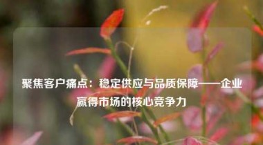 聚焦客户痛点：稳定供应与品质保障——企业赢得市场的核心竞争力