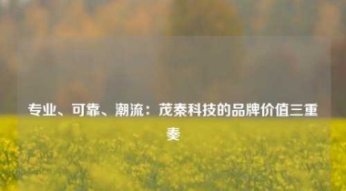 专业、可靠、潮流：茂秦科技的品牌价值三重奏