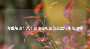 专业解读：汽车遥控器电池的选型与市场现状