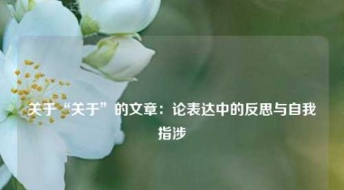 关于“关于”的文章：论表达中的反思与自我指涉