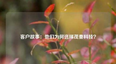 客户故事：他们为何选择茂秦科技？