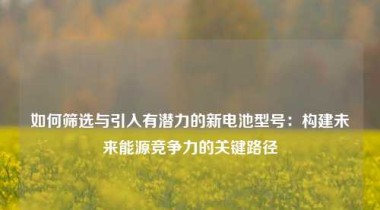 如何筛选与引入有潜力的新电池型号：构建未来能源竞争力的关键路径