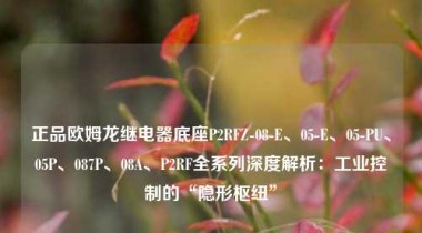 正品欧姆龙继电器底座P2RFZ-08-E、05-E、05-PU、05P、087P、08A、P2RF全系列深度解析：工业控制的“隐形枢纽”