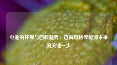 电池的环保与回收趋势：迈向可持续能源未来的关键一步