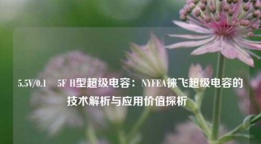 5.5V/0.1–5F H型超级电容：NYFEA徕飞超级电容的技术解析与应用价值探析  