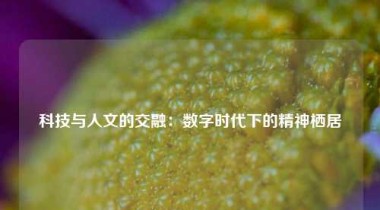 科技与人文的交融：数字时代下的精神栖居