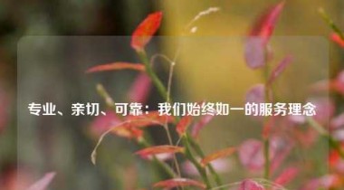 专业、亲切、可靠：我们始终如一的服务理念