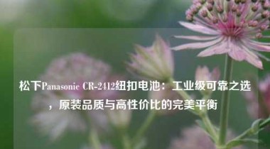 松下Panasonic CR-2412纽扣电池：工业级可靠之选，原装品质与高性价比的完美平衡  