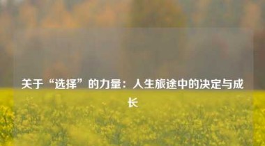 关于“选择”的力量：人生旅途中的决定与成长