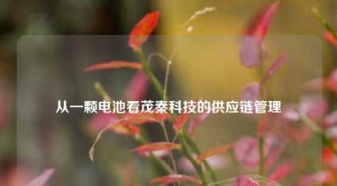 从一颗电池看茂秦科技的供应链管理