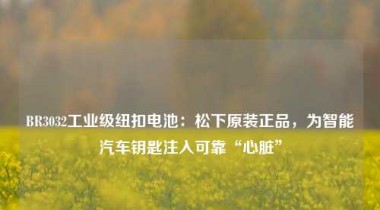 BR3032工业级纽扣电池：松下原装正品，为智能汽车钥匙注入可靠“心脏”