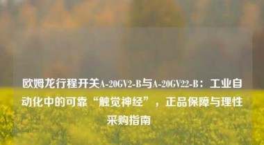 欧姆龙行程开关A-20GV2-B与A-20GV22-B：工业自动化中的可靠“触觉神经”，正品保障与理性采购指南  