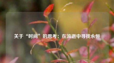 关于“时间”的思考：在流逝中寻找永恒