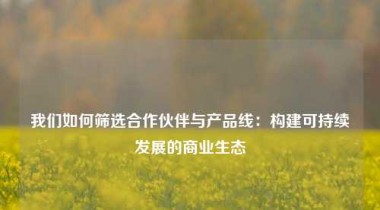 我们如何筛选合作伙伴与产品线：构建可持续发展的商业生态