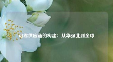 可靠供应链的构建：从华强北到全球