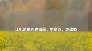 让电池采购更简单、更高效、更放心