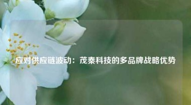 应对供应链波动：茂秦科技的多品牌战略优势