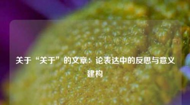 关于“关于”的文章：论表达中的反思与意义建构