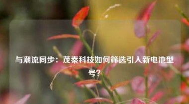 与潮流同步：茂秦科技如何筛选引入新电池型号？