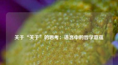 关于“关于”的思考：语言中的哲学意蕴