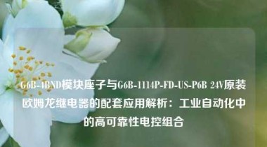 G6B-4BND模块座子与G6B-1114P-FD-US-P6B 24V原装欧姆龙继电器的配套应用解析：工业自动化中的高可靠性电控组合