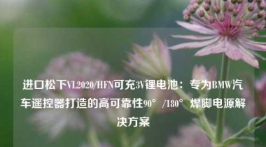 进口松下VL2020/HFN可充3V锂电池：专为BMW汽车遥控器打造的高可靠性90°/180°焊脚电源解决方案