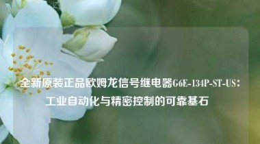 全新原装正品欧姆龙信号继电器G6E-134P-ST-US：工业自动化与精密控制的可靠基石  