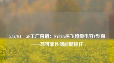 5.5V/0.1–5F工厂直销：NYFEA徕飞超级电容V型惠——高可靠性储能新标杆