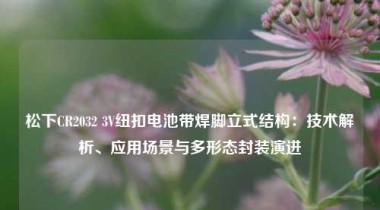 松下CR2032 3V纽扣电池带焊脚立式结构：技术解析、应用场景与多形态封装演进