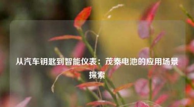 从汽车钥匙到智能仪表：茂秦电池的应用场景探索