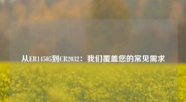 从ER14505到CR2032：我们覆盖您的常见需求