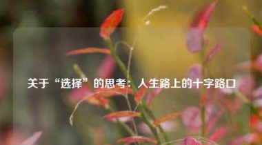 关于“选择”的思考：人生路上的十字路口