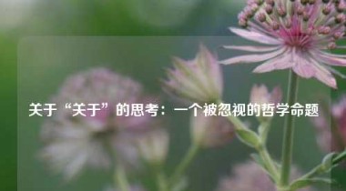 关于“关于”的思考：一个被忽视的哲学命题
