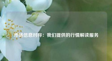 市场信息对称：我们提供的行情解读服务