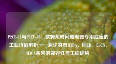 P2CF-11与P2CF-08：欧姆龙时间继电器专用底座的工业价值解析——兼论其对H3BA、H3CR、E5CN、H3CA系列的兼容性与工程优势