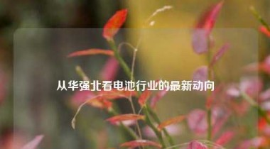 从华强北看电池行业的最新动向
