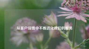 从客户反馈中不断进化我们的服务