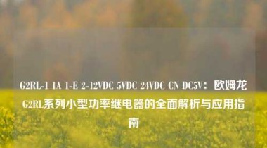 G2RL-1 1A 1-E 2-12VDC 5VDC 24VDC CN DC5V：欧姆龙G2RL系列小型功率继电器的全面解析与应用指南