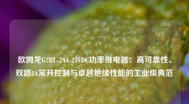 欧姆龙G2RL-2A4-24VDC功率继电器：高可靠性、双路8A常开控制与卓越绝缘性能的工业级典范