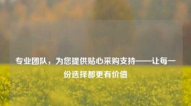 专业团队，为您提供贴心采购支持——让每一份选择都更有价值