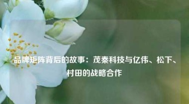 品牌矩阵背后的故事：茂秦科技与亿伟、松下、村田的战略合作