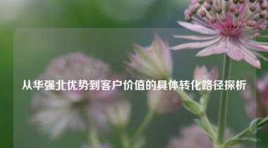 从华强北优势到客户价值的具体转化路径探析