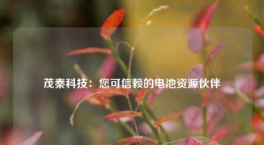 茂秦科技：您可信赖的电池资源伙伴